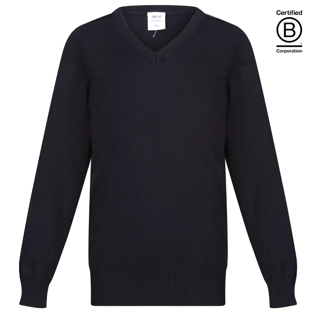 Boys / Unisex Performa cotton v-neck school jumper / pullover - plain