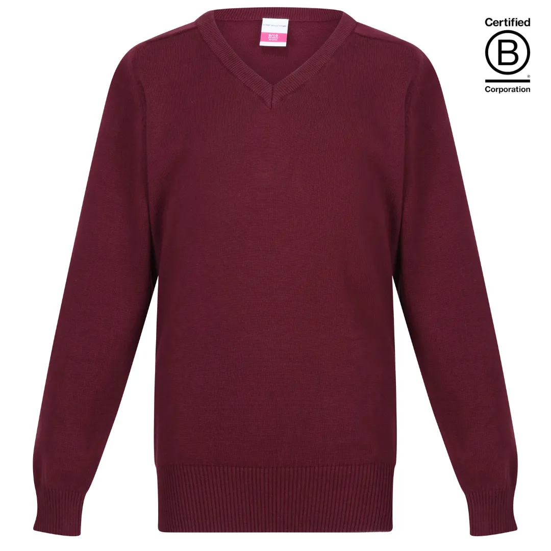 Boys / Unisex Performa cotton v-neck school jumper / pullover - plain