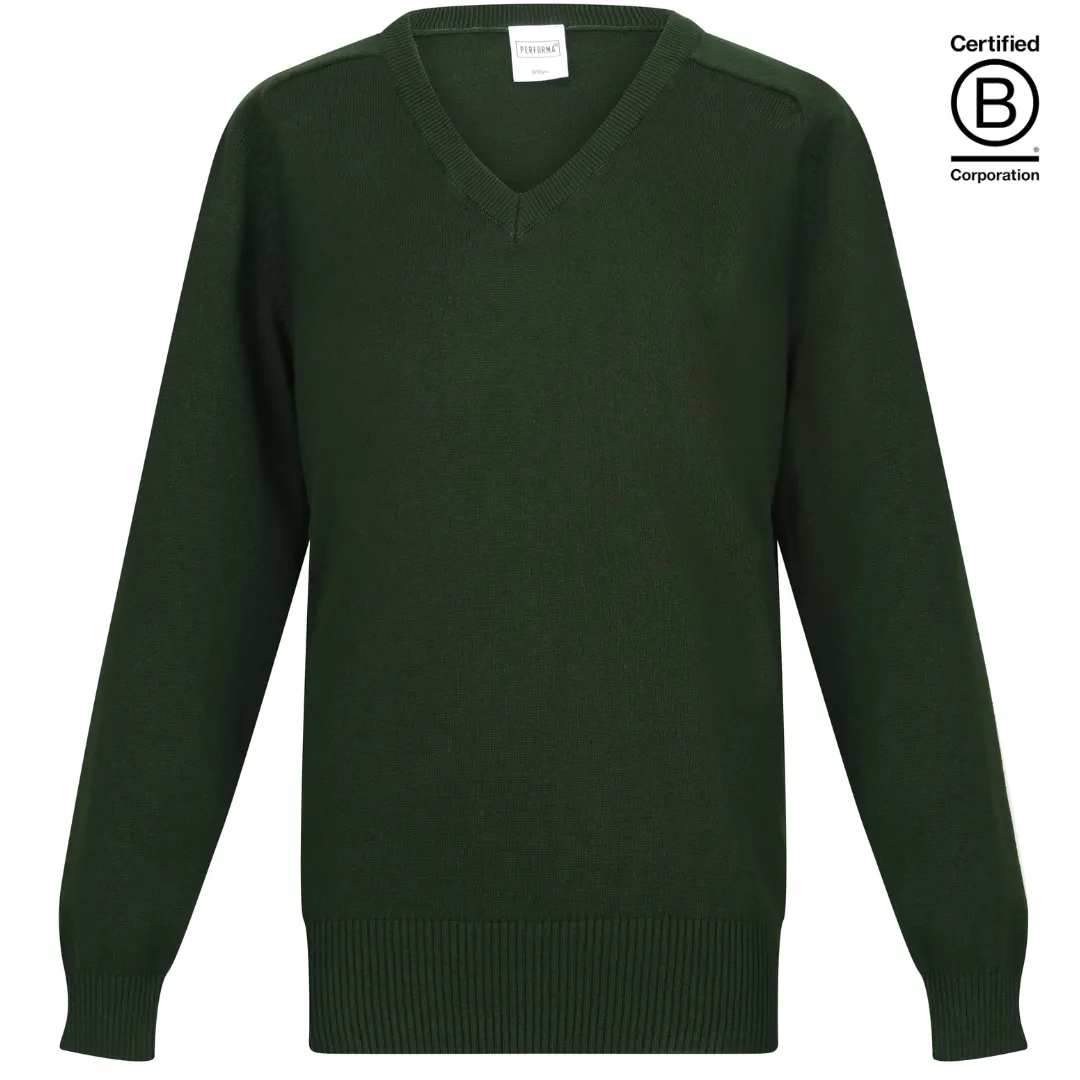 Boys / Unisex Performa cotton v-neck school jumper / pullover - plain